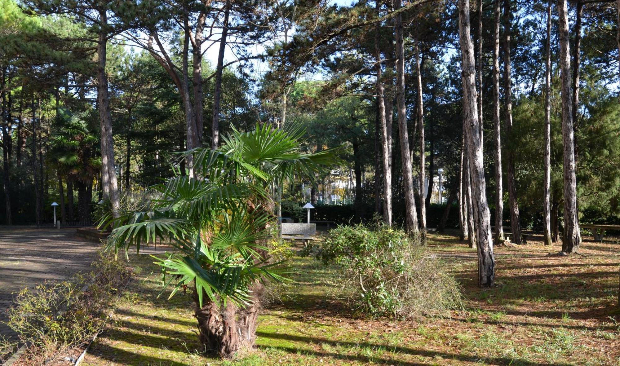 Alemagna Apartment Bibione